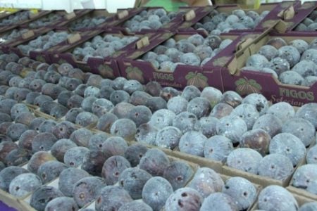 Festa do Figo e Expogoiaba movimentam Valinhos