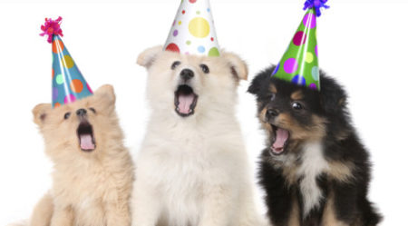 Festa da Alegria na Cidade