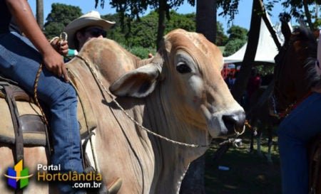 Encontro de Cavaleiros de Hortolândia 2015
