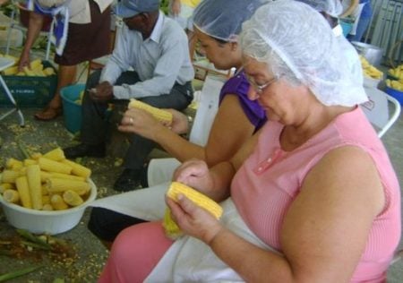 Festa do Milho continua no próximo final de semana