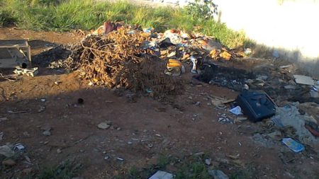 Lixo e animais mortos viram rotina de moradores do Jardim Amanda