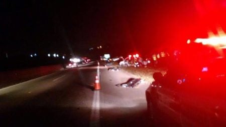 Atropelamento na SP 101 deixa dois mortos na noite deste domingo