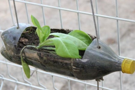 Prefeitura promoverá oficinas ecológicas na Semana Ambiental