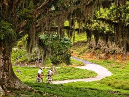 Guia de Cicloturismo é a nova atração do Circuito das Frutas