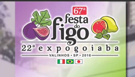 Festa do Figo começa neste fim de semana
