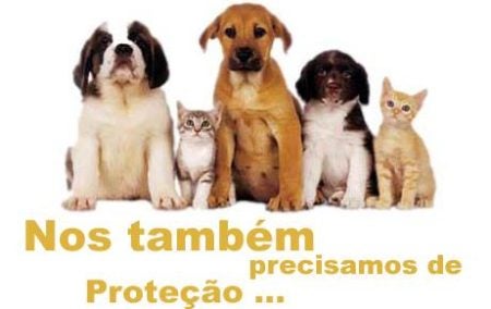 1º Seminário de Proteção aos animais da RMC