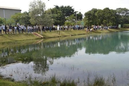 No Dia Mundial da Água, Lagoa do Parque Dorothy começa a ser repovoada
