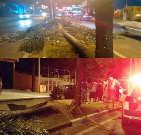 Acidente no centro derruba arvore.