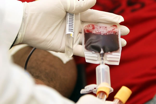 Doação de Sangue em Hortolândia