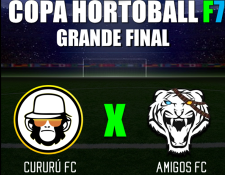 Final da Copa Hortoball F7 2016