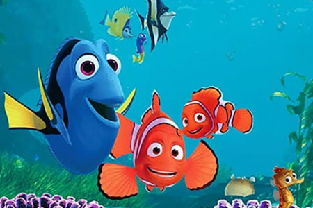 PROCURANDO DORY (8,0)