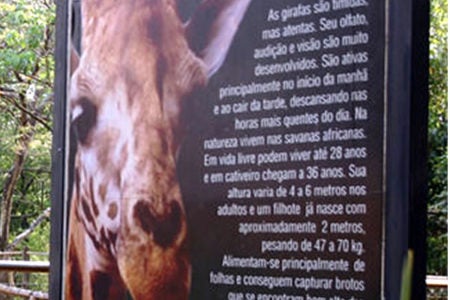 Girafa morre em Parque de Americana