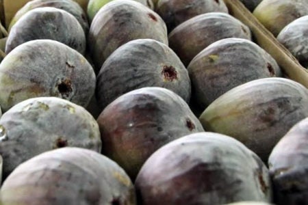 A 68ª Festa do Figo de Valinho