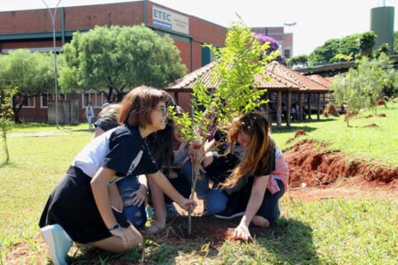 ETEC de Hortolândia recebe plantio de mudas