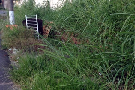 Moradores reclamam do abandono do bairro do Jardim do Lago