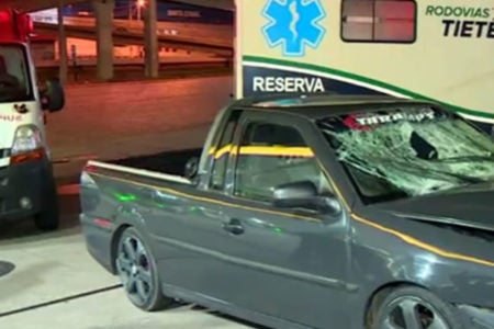 Rodovia SP-101 registra 3 mortes por atropelamento nesse ano