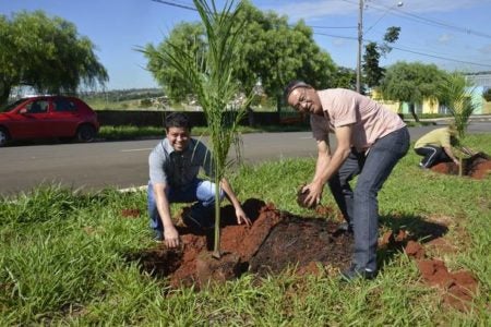 Pq. Gabriel ganha 250 novas árvores
