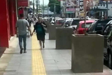 Vasos da rua Luiz Camilo de Camargo recebem mudas de espécies ornamentais