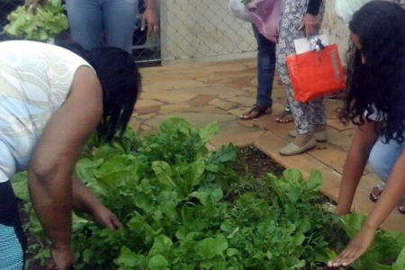 Prefeitura retoma horta comunitária no Jardim Brasil