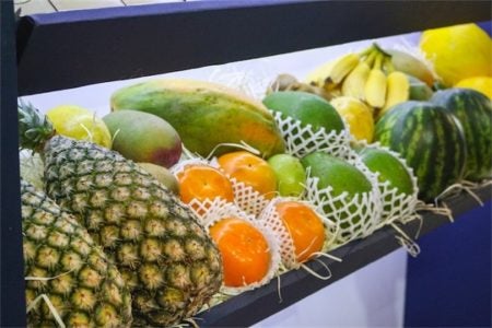 Na contramão da crise HORTITEC deve movimentar R$ 100 milhões em negócios