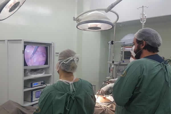 Cirurgias video