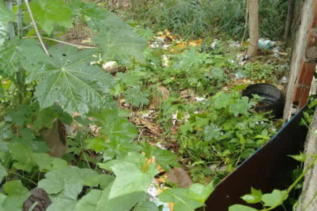 Moradores reclamam de área abandonada no Jardim do Lago