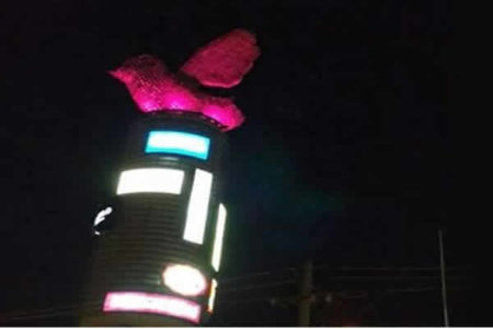 Parque D. Pedro Shopping e Caism se unem no combate ao câncer de mama