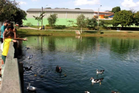 Nestes dias de calor, jovens se arriscam em nadar nas lagoas publicas da cidade