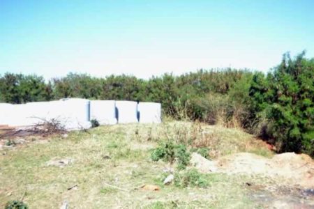 Prefeitura faz obra para evitar erosão no Parque Orestes Ôngaro