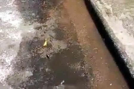 Limpeza no Reservatório do Amanda incomoda morador