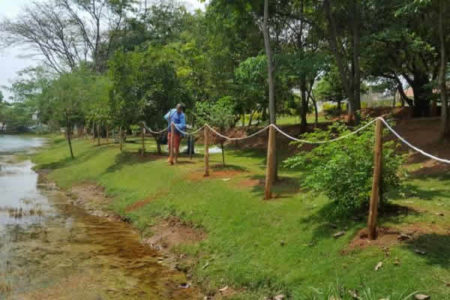 Jacarés fazem Prefeitura cercar lagoa do Parque Dorothy