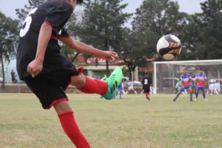 Prosaph fica com o título da etapa Nova Europa na Hortocopa