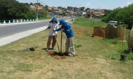 Ponte que liga Jardim São Sebastião ao Interlagos ganha jardim
