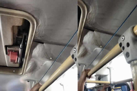 Goteiras, atrasos e superlotação: Moradores reclamam do transporte público em Hortolândia