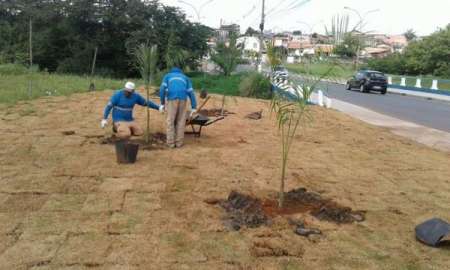 Árvores e flores embelezam entorno da ponte do Jardim São Sebastião