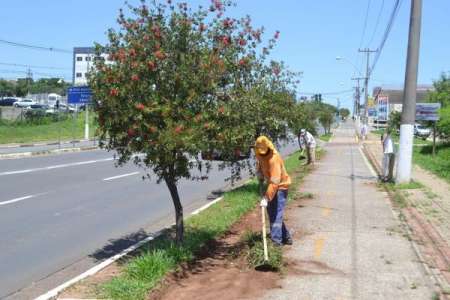 Prefeitura inicia mutirão de limpeza na avenida Olívio Franceschini																		Destaque