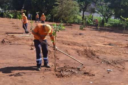 Prefeitura planta mudas de árvore em área verde do Nova Hortolândia