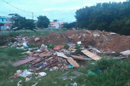 Área Verde se transforma em lixão no Jardim Amanda II