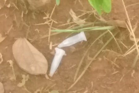 Fluxo de jovens na lagoa do Jardim Amanda assusta moradores