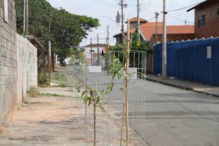 Após limpeza de terreno feita pela comunidade, Prefeitura realiza plantio de árvores na região do Fátima