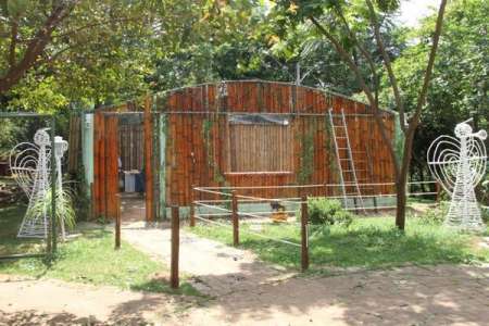 Papai Noel abre Natal Sustentável no Parque Irmã Dorothy																		Destaque