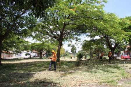 Prefeitura realiza poda do mato em mais três áreas da cidade