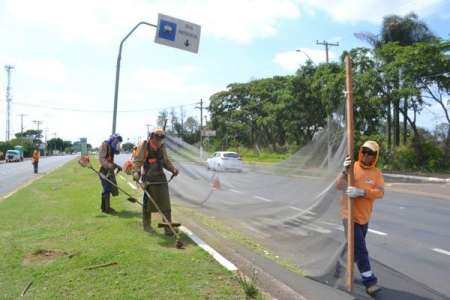 UPA e avenidas recebem limpeza com ação da Agenda Verde