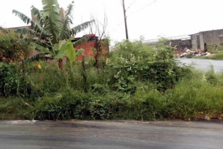 Com assaltos e muito lixo, terreno vira pesadelo de moradores no Jardim Nova Europa