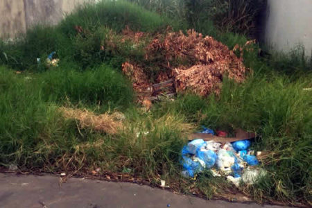Mato alto e lixo causa transtornos aos moradores do Jd Nova América