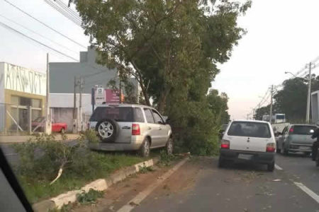 Veiculo colide em arvore na Avenida Santana