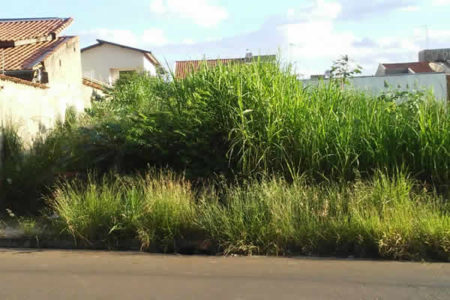 Mato alto em terrenos baldios deixa moradores assutados no Firenze, em Hortolândia
