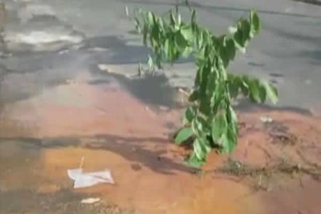 Moradores reclamam de vazamento de água em rua do São Sebastião em Hortolândia