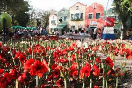 Expoflora inicia a venda do segundo lote de ingressos antecipados ao preço de R$ 20,00