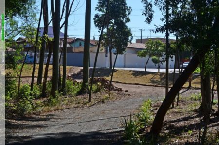 Prefeitura de Sumaré inicia construção do Bosque